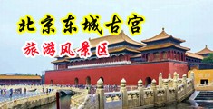 骚逼性爱中国北京-东城古宫旅游风景区